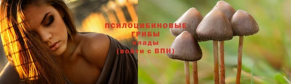 спайс Армянск