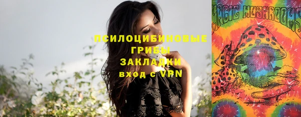 ПСИЛОЦИБИНОВЫЕ ГРИБЫ Алзамай